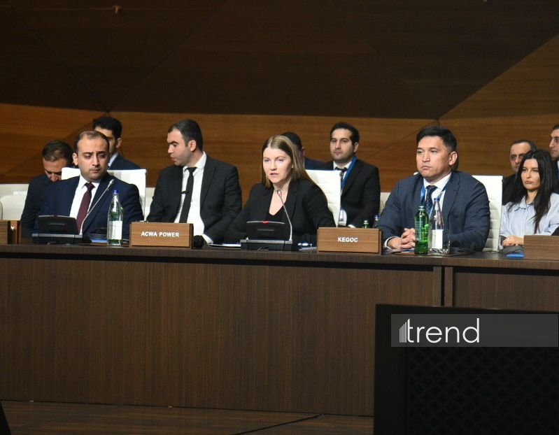 Азербайджан демонстрирует четкое видение развития "зеленой" энергетики - ACWA Power