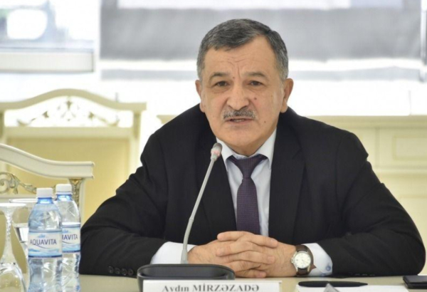 Иранская сторона должна принести извинения за атаку дрона на Нахчыван - депутат