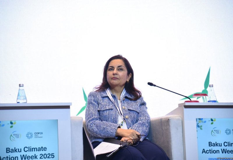 АБР заинтересован в сотрудничестве с правительством Азербайджана в аграрном секторе