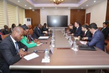 SOCAR провела обсуждения по проекту разработки месторождения Baleine (ФОТО)