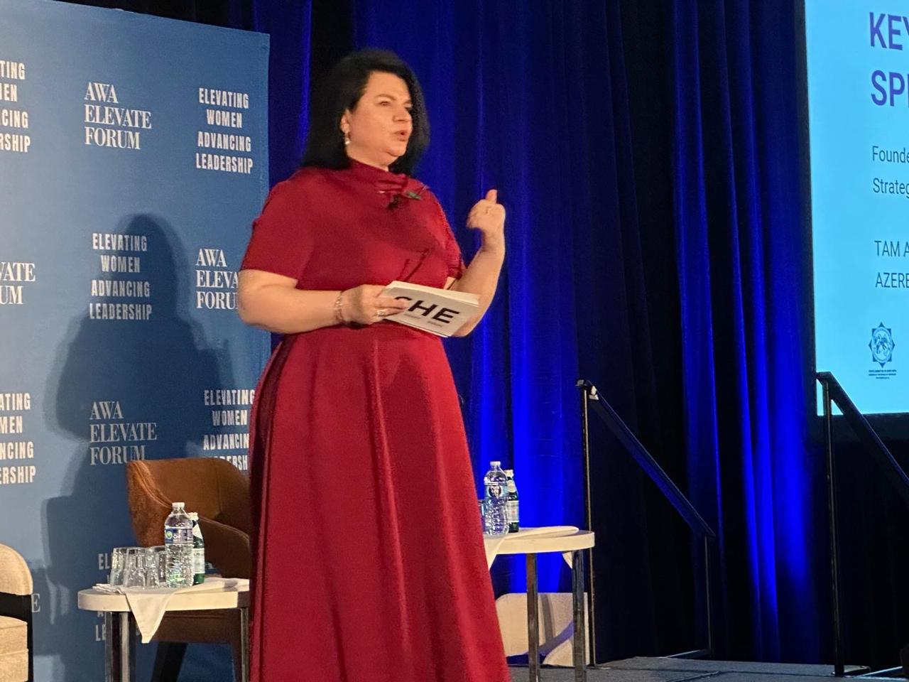 Азербайджанские женщины Америки создали важную платформу солидарности и развития (ФОТО)