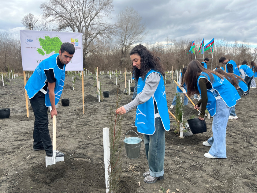 В рамках кампании IDEA в Загатале было посажено более 800 деревьев (ФОТО)