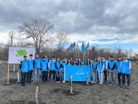 В рамках кампании IDEA в Загатале было посажено более 800 деревьев (ФОТО)