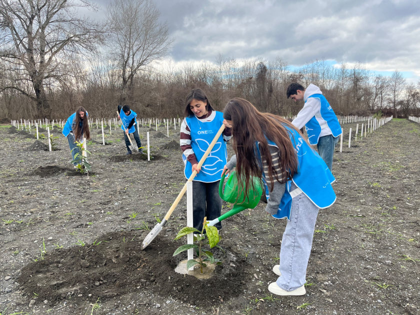 В рамках кампании IDEA в Загатале было посажено более 800 деревьев (ФОТО)