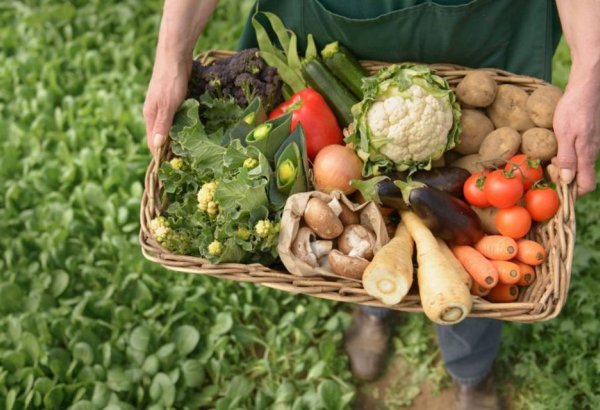 Латвия нацелена на расширение экспорта пищевой продукции и технологий в Казахстан (Эксклюзив)