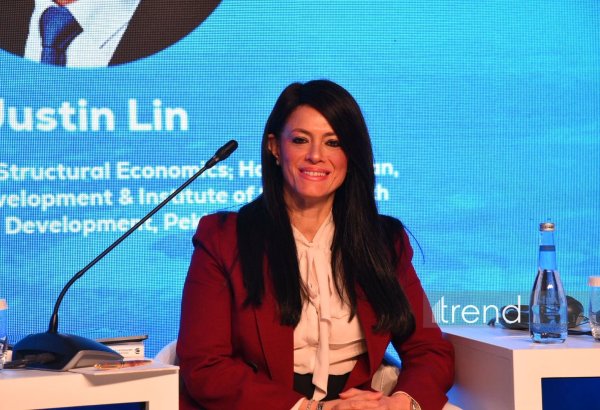 Пришло время для более тесного сотрудничества международных банков - Рания аль-Машат