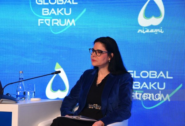 Для решения жилищного вопроса необходим комплексный подход - Ана Бирчалл