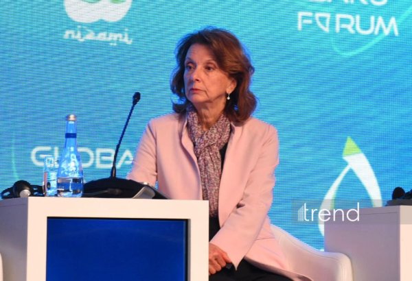 Мир может столкнуться с разделением глобальной технологической системы - Пеянович-Дуришич