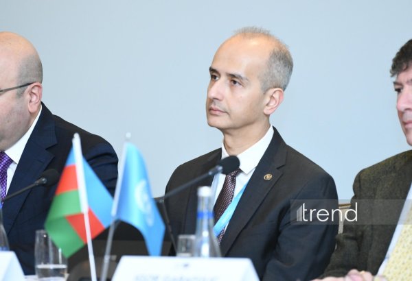 Развитие Среднего коридора требует сбалансированный подход - Эрфан Али