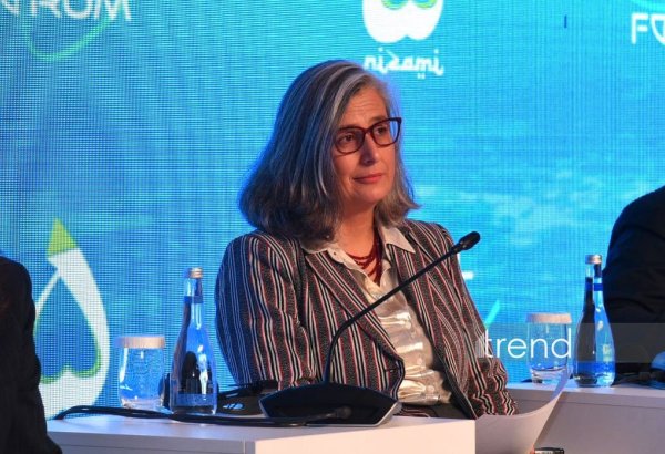 Мир отстает в достижении Целей устойчивого развития - Анаклаудиа Россбах