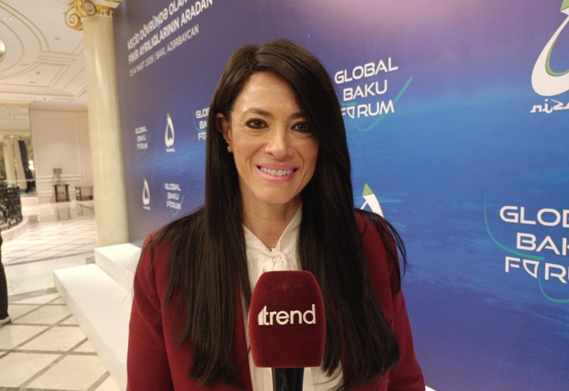 Туризм, ИКТ и энергетика среди ключевых направлений сотрудничества Азербайджана и Египта - экс-министр (Эксклюзив)