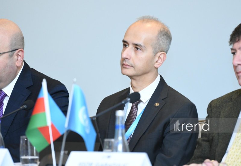 Развитие Среднего коридора требует сбалансированный подход - Эрфан Али