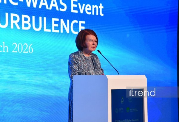 Влияние ученых и мыслителей на осмысление природы зла было значительным - Вайра Вике-Фрейберга