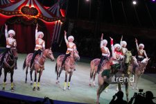 Впервые в Баку легендарное конное шоу "Галкыныш" из Туркменистана - перформанс в Circus Sea Breeze (ФОТО)