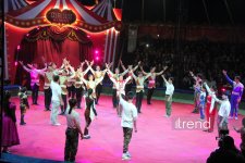 Впервые в Баку легендарное конное шоу "Галкыныш" из Туркменистана - перформанс в Circus Sea Breeze (ФОТО)