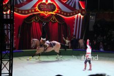 Впервые в Баку легендарное конное шоу "Галкыныш" из Туркменистана - перформанс в Circus Sea Breeze (ФОТО)