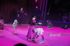 Впервые в Баку легендарное конное шоу "Галкыныш" из Туркменистана - перформанс в Circus Sea Breeze (ФОТО)