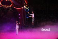 Впервые в Баку легендарное конное шоу "Галкыныш" из Туркменистана - перформанс в Circus Sea Breeze (ФОТО)