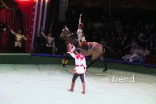 Впервые в Баку легендарное конное шоу "Галкыныш" из Туркменистана - перформанс в Circus Sea Breeze (ФОТО)