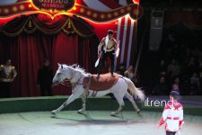Впервые в Баку легендарное конное шоу "Галкыныш" из Туркменистана - перформанс в Circus Sea Breeze (ФОТО)