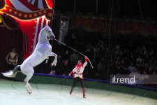 Впервые в Баку легендарное конное шоу "Галкыныш" из Туркменистана - перформанс в Circus Sea Breeze (ФОТО)