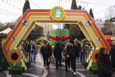 При организации Фонда Nargis проходит традиционная благотворительная ярмарка "Torpaq Əlimdə, Bahar Ürəyimdə" (ФОТО)