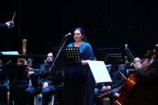 В Гяндже представлена масштабная культурная гастрольная программа (ФОТО)