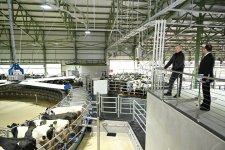 Президент Ильхам Алиев принял участие в открытии животноводческого комплекса «Ширван Агро» в Шамахы
(ФОТО)