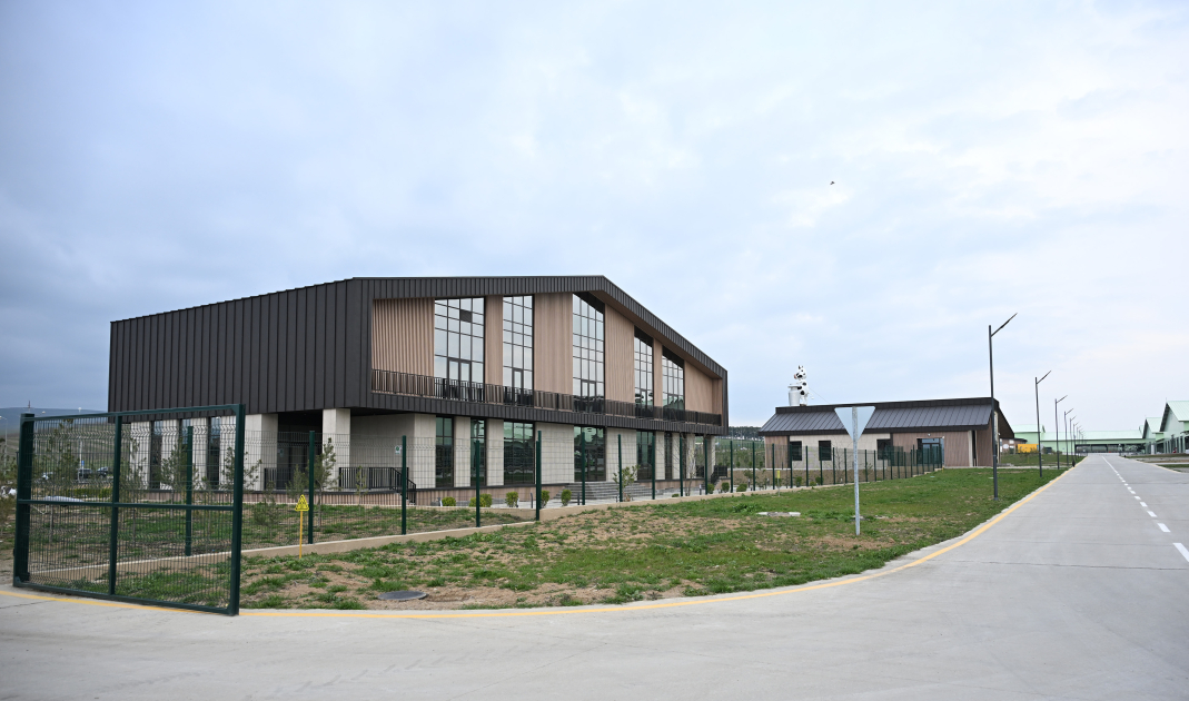 Президент Ильхам Алиев принял участие в открытии животноводческого комплекса "Ширван Агро" в Шамахы (ФОТО)