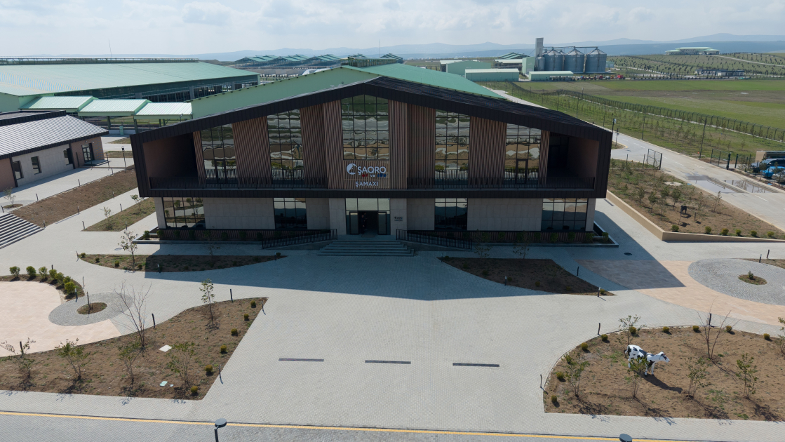 Президент Ильхам Алиев принял участие в открытии животноводческого комплекса "Ширван Агро" в Шамахы (ФОТО)