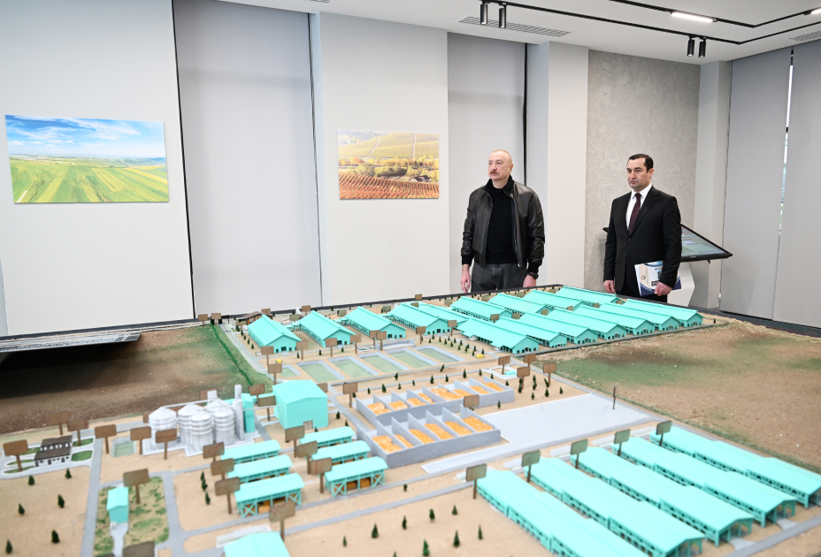 Президент Ильхам Алиев принял участие в открытии животноводческого комплекса "Ширван Агро" в Шамахы (ФОТО)