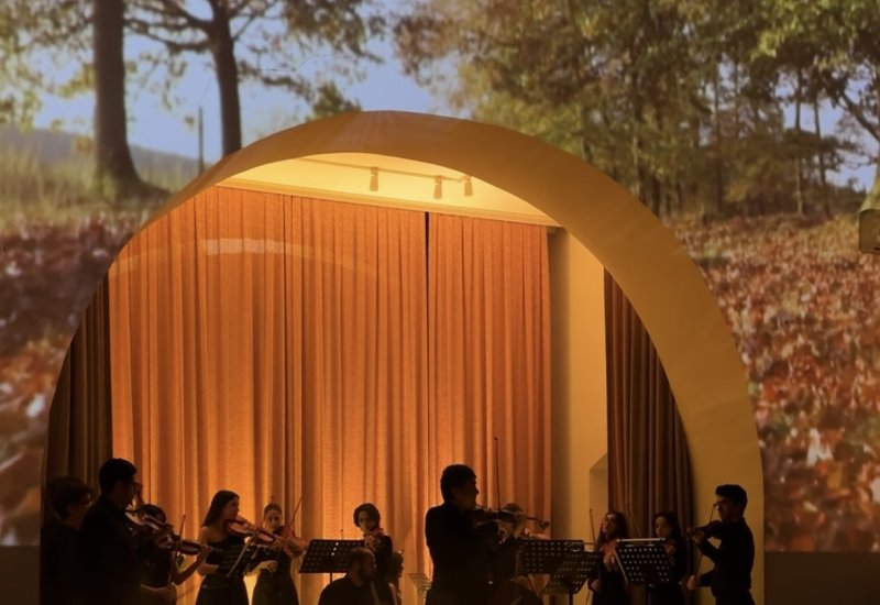 Времена года в Баку под мировую классику Вивальди (ФОТО)