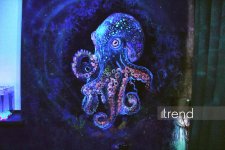 Единственный в мире Музей неонового искусства Farhouse в Баку отметил юбилей экспозицией "Экология моря" (ФОТО)