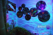 Единственный в мире Музей неонового искусства Farhouse в Баку отметил юбилей экспозицией "Экология моря" (ФОТО)