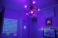 Единственный в мире Музей неонового искусства Farhouse в Баку отметил юбилей экспозицией "Экология моря" (ФОТО)