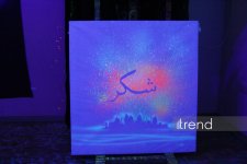 Единственный в мире Музей неонового искусства Farhouse в Баку отметил юбилей экспозицией "Экология моря" (ФОТО)