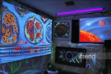 Единственный в мире Музей неонового искусства Farhouse в Баку отметил юбилей экспозицией "Экология моря" (ФОТО)