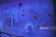 Единственный в мире Музей неонового искусства Farhouse в Баку отметил юбилей экспозицией "Экология моря" (ФОТО)