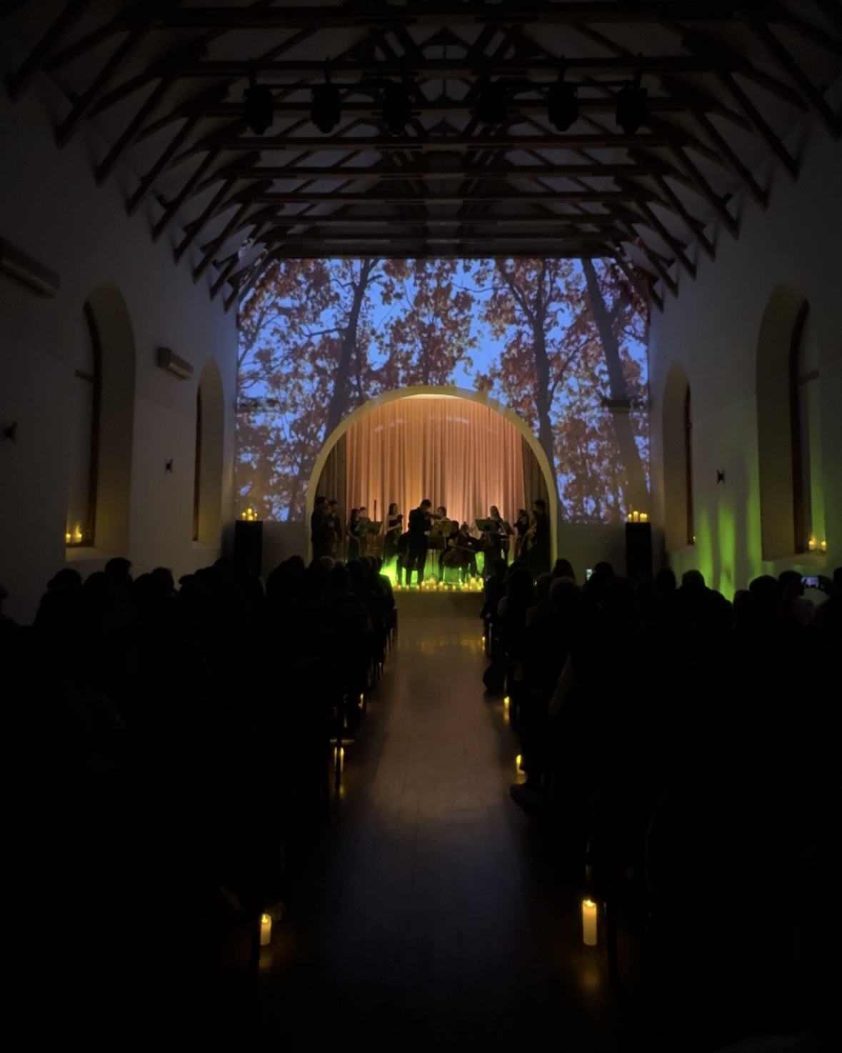 Времена года в Баку под мировую классику Вивальди (ФОТО)