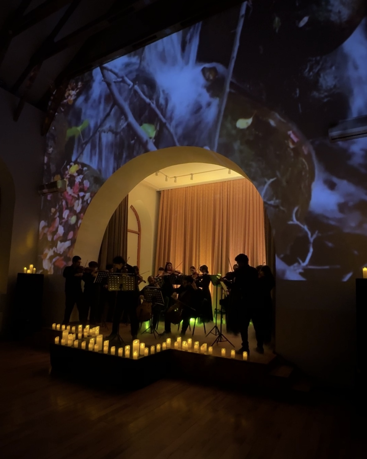 Времена года в Баку под мировую классику Вивальди (ФОТО)