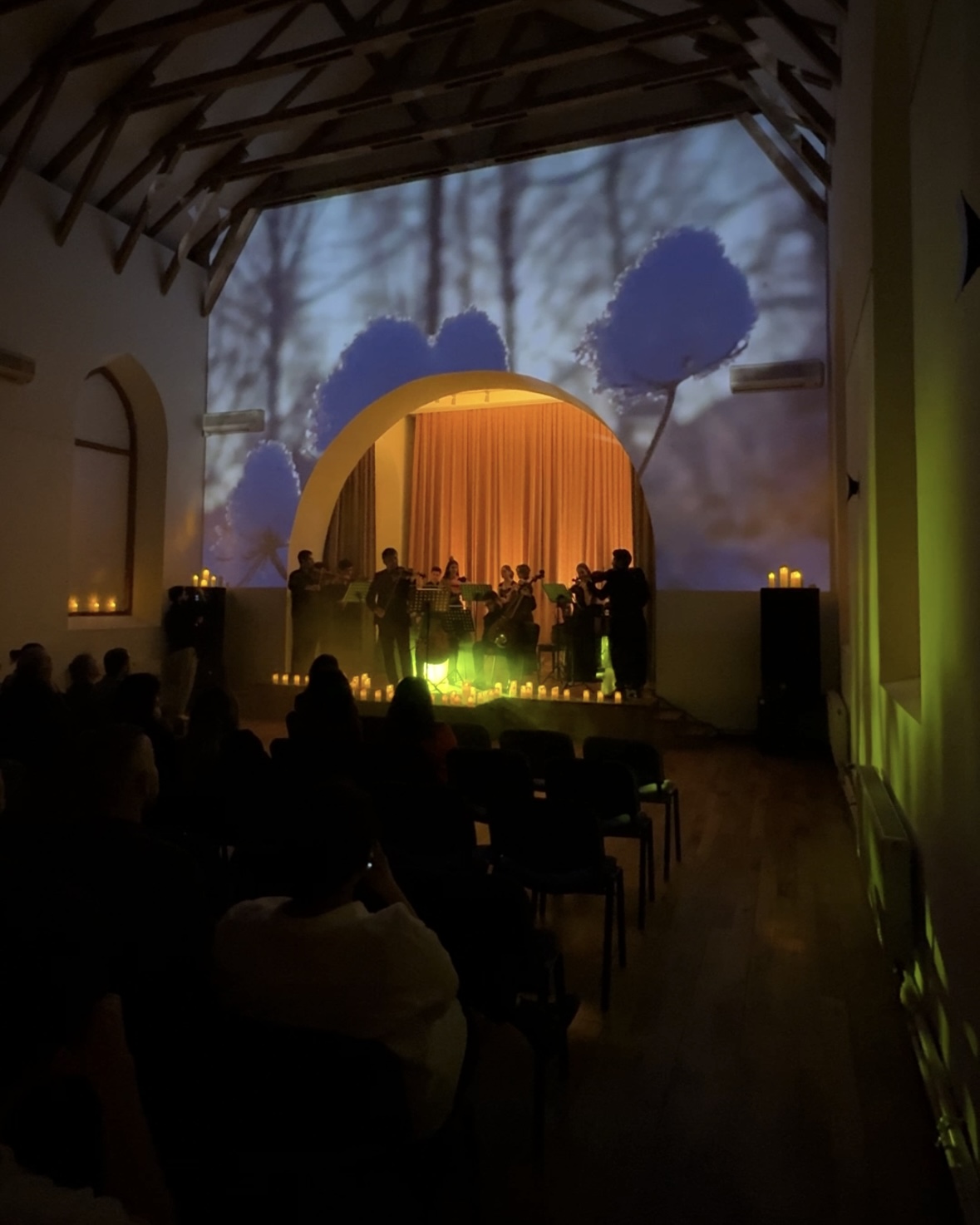 Времена года в Баку под мировую классику Вивальди (ФОТО)