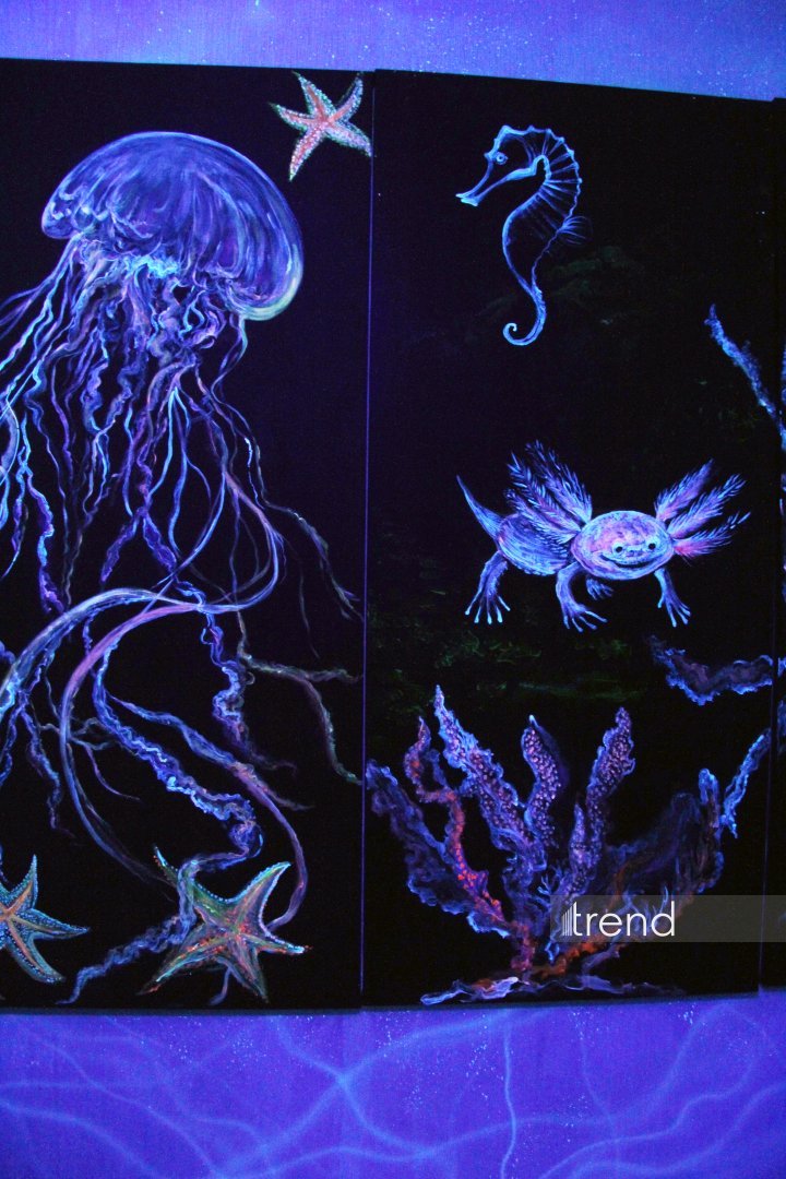 Единственный в мире Музей неонового искусства Farhouse в Баку отметил юбилей экспозицией "Экология моря" (ФОТО)