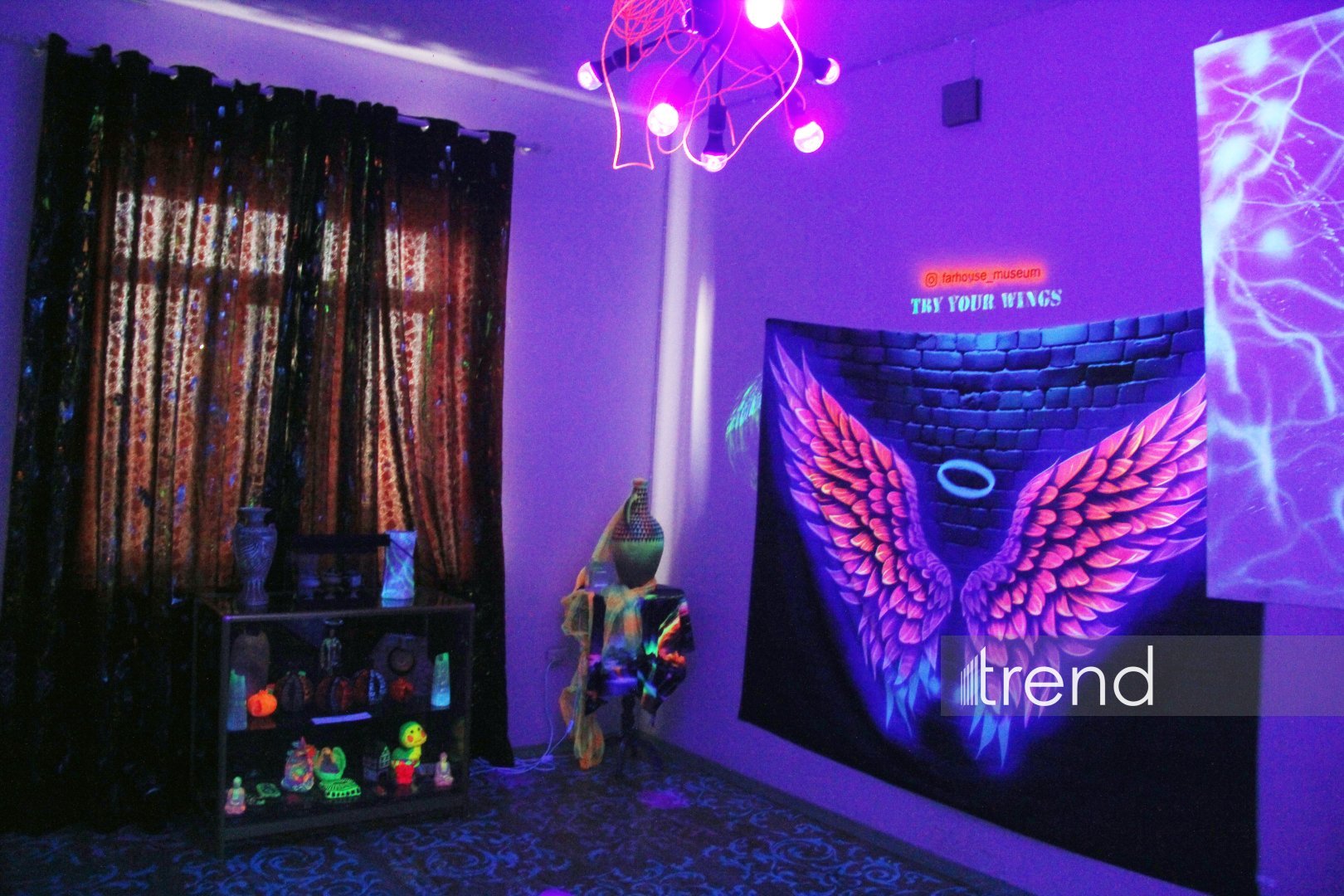 Единственный в мире Музей неонового искусства Farhouse в Баку отметил юбилей экспозицией "Экология моря" (ФОТО)