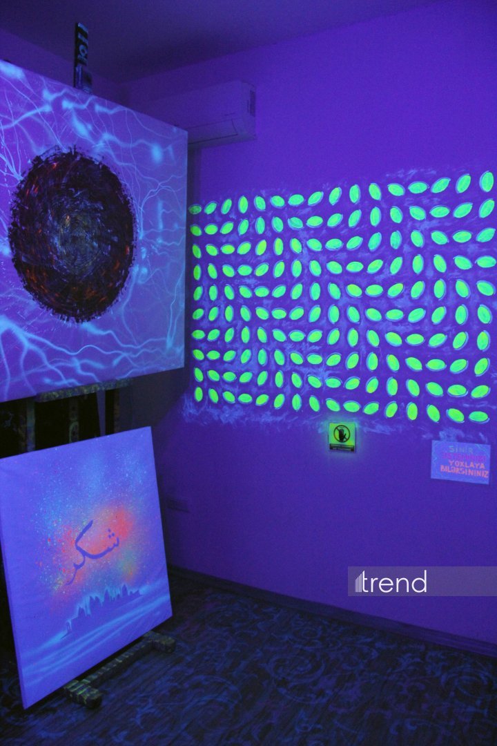 Единственный в мире Музей неонового искусства Farhouse в Баку отметил юбилей экспозицией "Экология моря" (ФОТО)