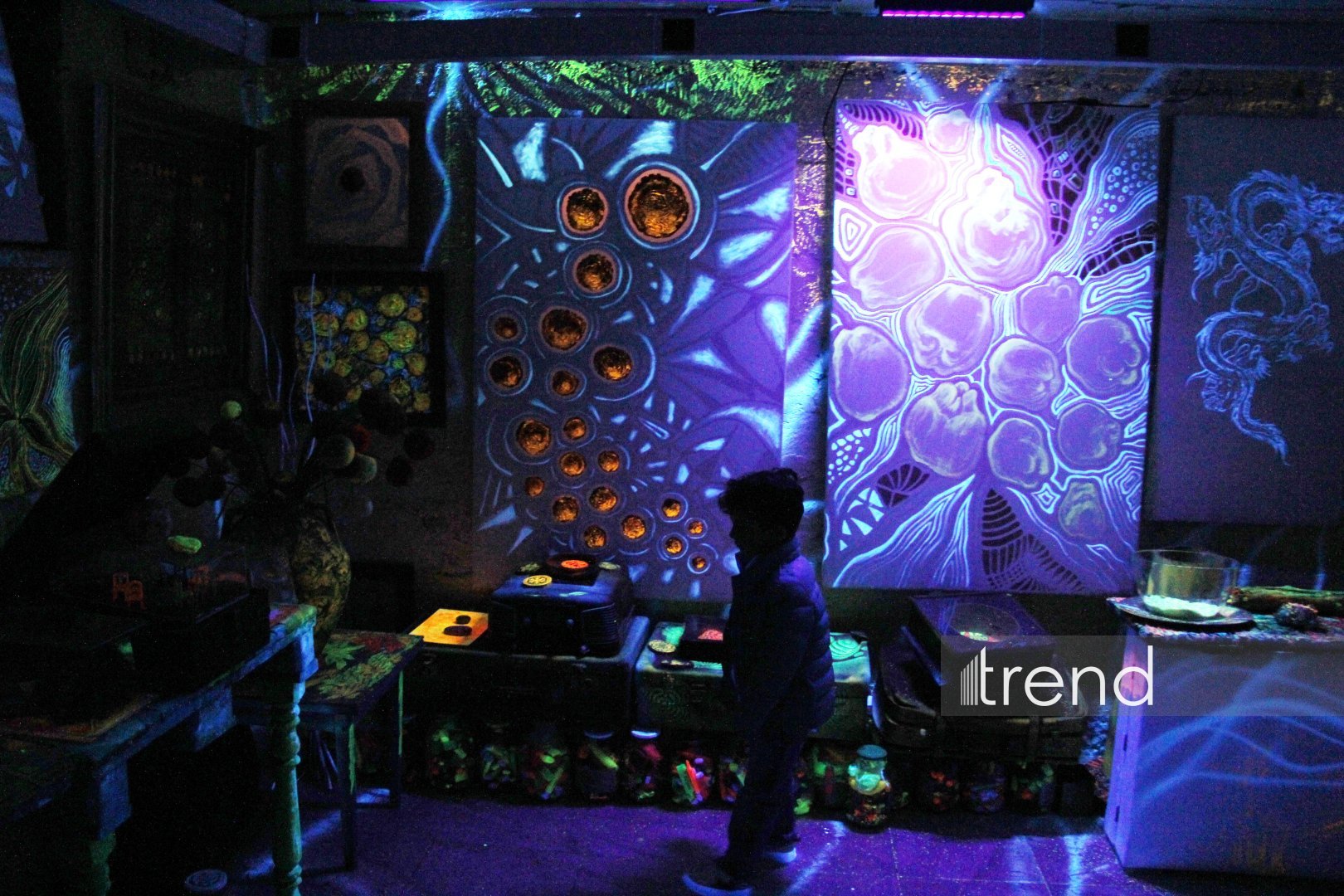 Единственный в мире Музей неонового искусства Farhouse в Баку отметил юбилей экспозицией "Экология моря" (ФОТО)