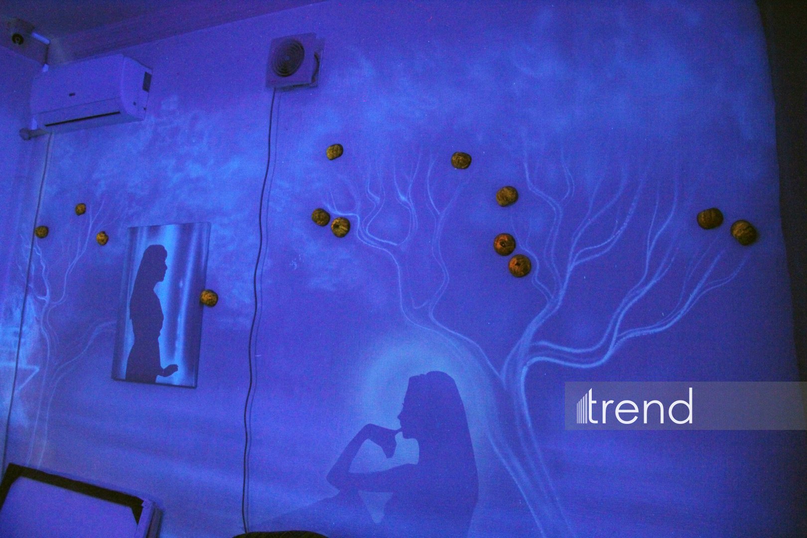 Единственный в мире Музей неонового искусства Farhouse в Баку отметил юбилей экспозицией "Экология моря" (ФОТО)