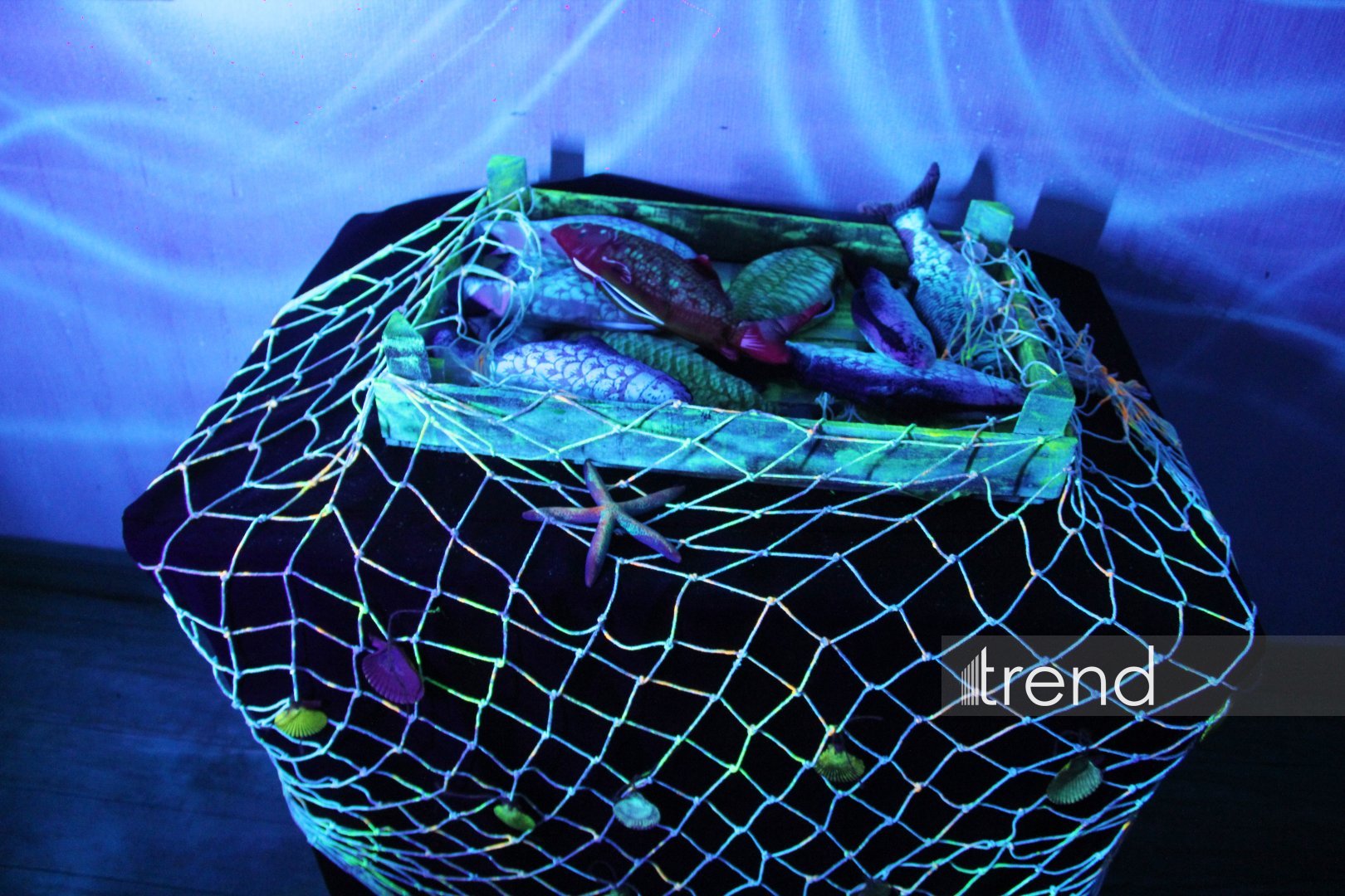 Единственный в мире Музей неонового искусства Farhouse в Баку отметил юбилей экспозицией "Экология моря" (ФОТО)