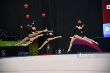 В Баку состоялось 31-е Первенство Азербайджана по художественной гимнастике (ФОТО)
