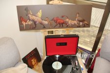 От Баку до Нью-Йорка: творческий путь и новая Вселенная Рустама Гулиева – презентация "Ковчега Ооминора" (ВИДЕО, ФОТО)