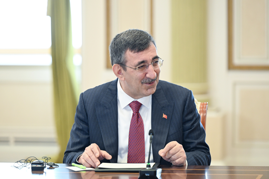 Президент Ильхам Алиев принял участников встречи глав правительств государств-членов Организации тюркских государств (ФОТО/ВИДЕО)